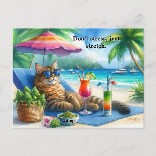 Funny Cat Slogan Kitty at Beach  Postcard (Front)