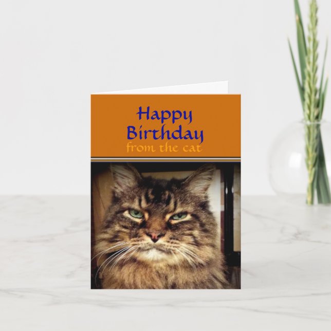 Funny Cat Smile it's your Birthday Greeting Card (Front)
