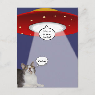 Funny Cat & Spaceship Postcard