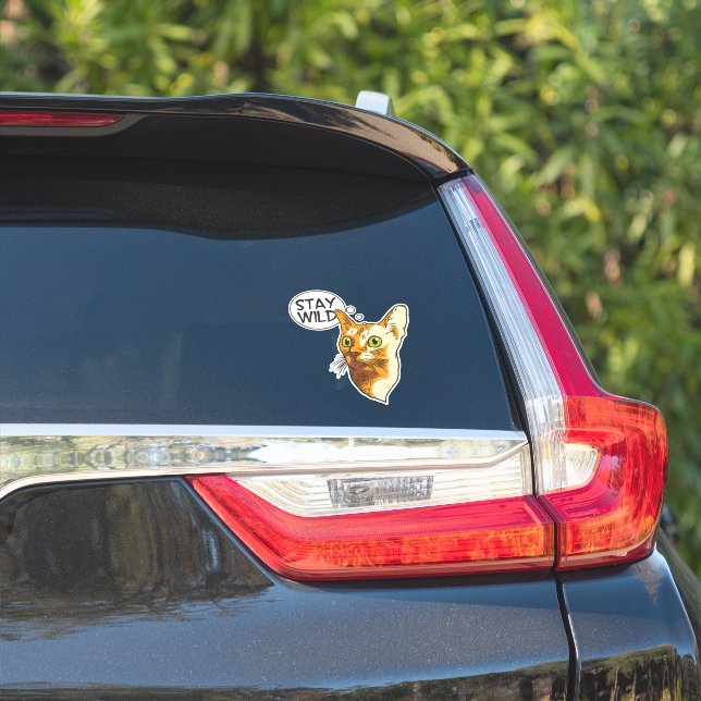 Funny Cat Stay Wild Animal Pet Kitty (Car Side)