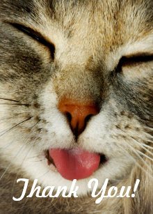 Funny Cat Thank You Gifts Gift Ideas Zazzle Uk