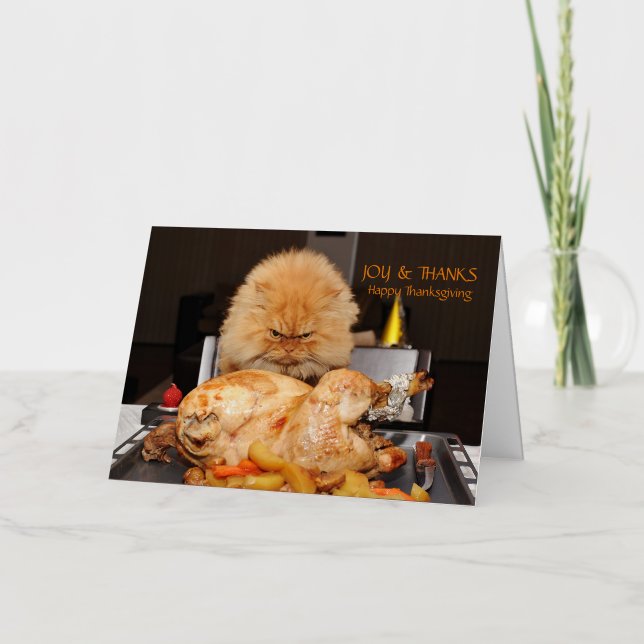 Funny Cat Thanksgiving postcard (Front)