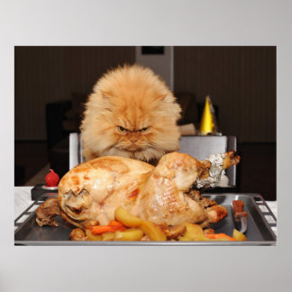 Funny Cat Thanksgiving Poster