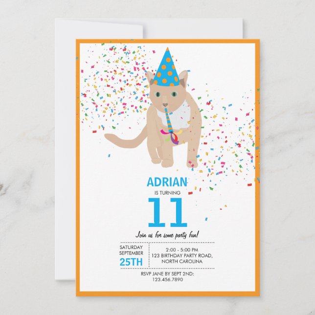 Funny Cat Theme Birthday Party Invitation (Front)