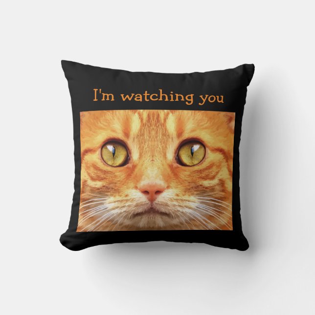 Funny Cat Theme Cushion (Front)