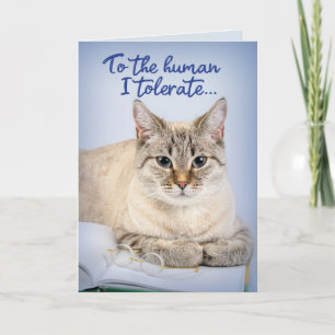 Funny Cat– To The Human They Tolerate Birthday Card
