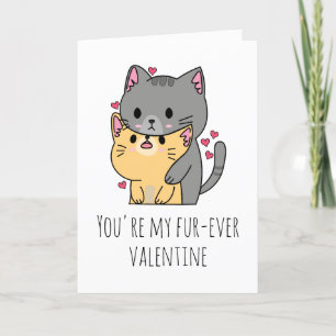 funny cat valentine cards