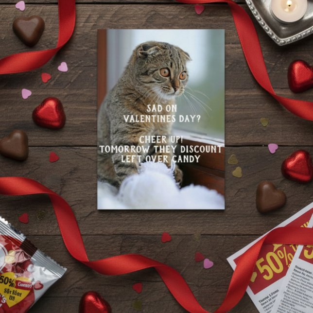 Funny Cat Valentine's Day Meme Single (Creator Uploaded)