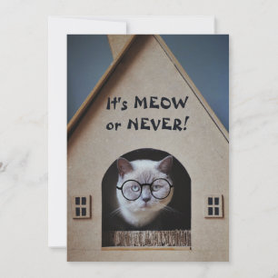 Funny Cat Wearing Glasses It's Meow or Never Quote