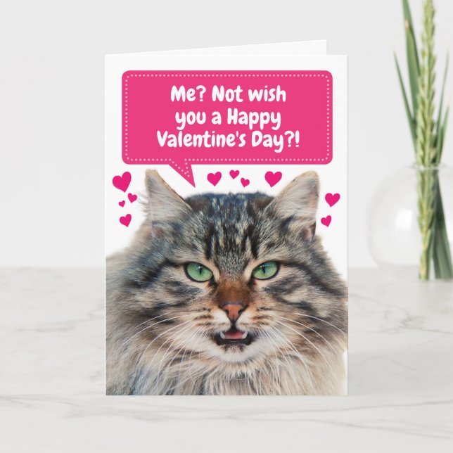 Funny Cat Wishing You a Happy Valentine's Day Card (Front)