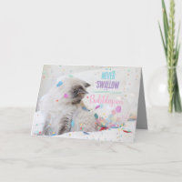 Funny Cat With Bubblegum Bubble Happy Birthday