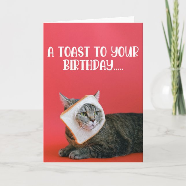 Funny Cat with Toast Birthday Greeting Card  (Front)