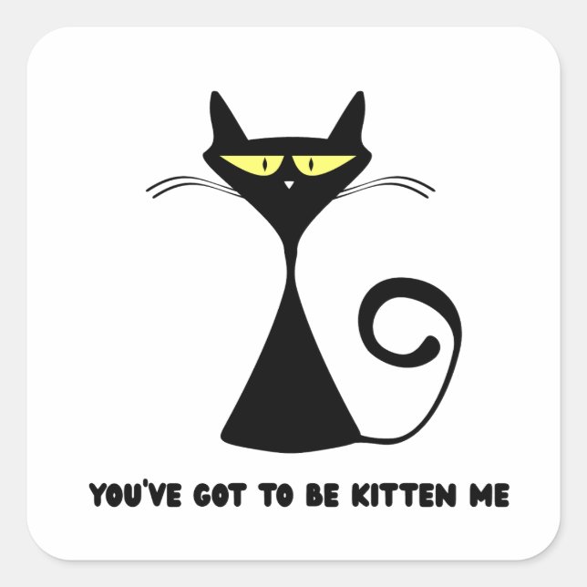 Funny cat "You’ve got to be kitten me" Square Sticker (Front)