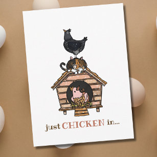 Funny Cats and Chickens Just Checking In Postcard