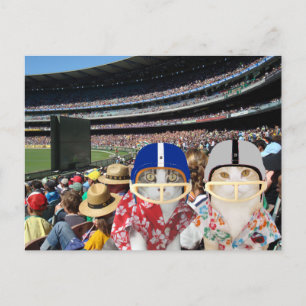 Funny Cats at the Big Game Postcard