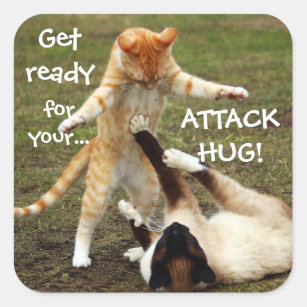 Funny Cats Caption Attack Hug Square Sticker