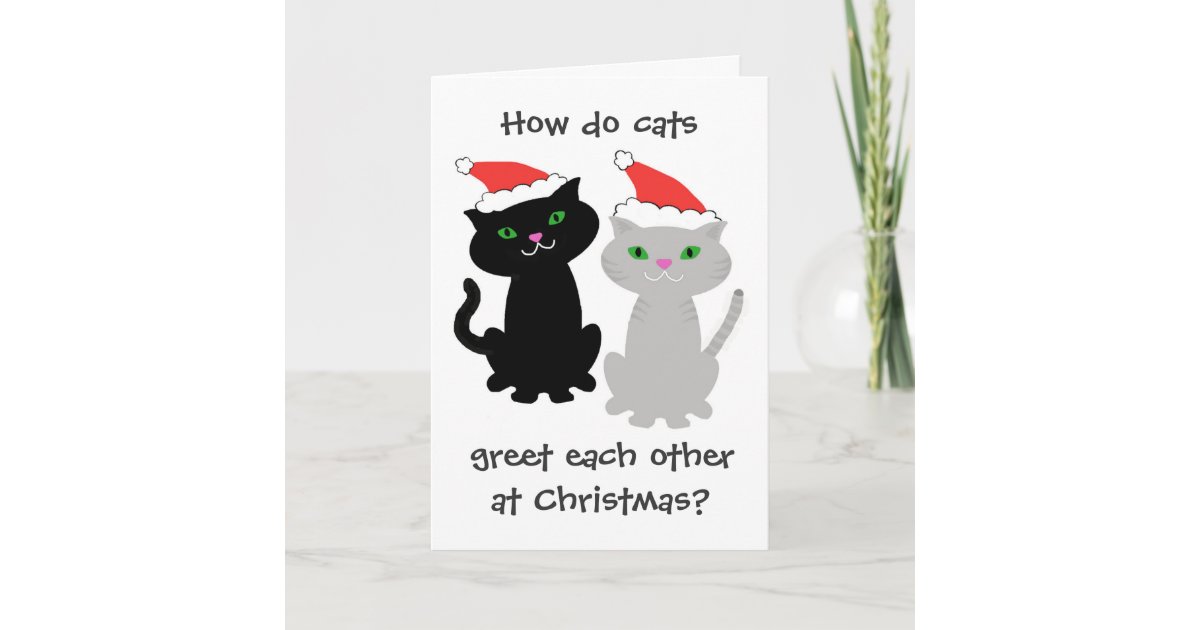 Funny Cats Christmas Card | Zazzle.co.uk