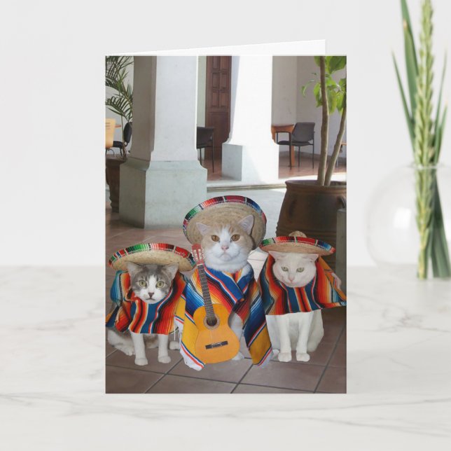 Funny Cats Cinco de Mayo Card (Front)