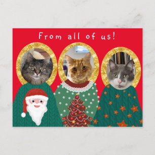 Funny Cats Customised Ugly Christmas Sweater  Postcard