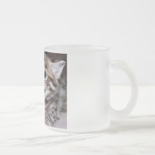 Funny Cats Frosted Glass Coffee Mug