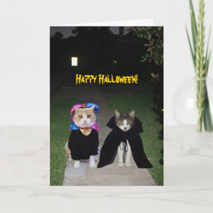 Funny Cats Halloween Card