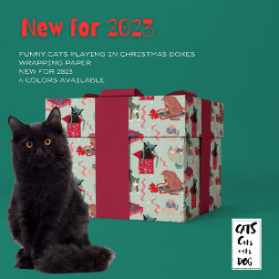 Funny Cats in Christmas Boxes Sage Wrapping Paper