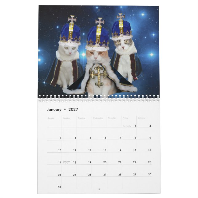 Funny Cats/Kitties Calendar (Jan 2027)