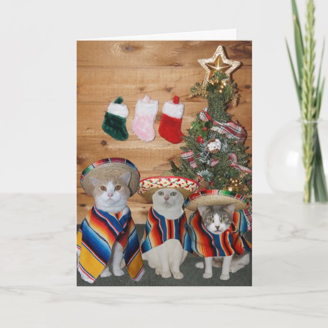 Funny Cats/Kitties Feliz Navidad Holiday Card (Front)