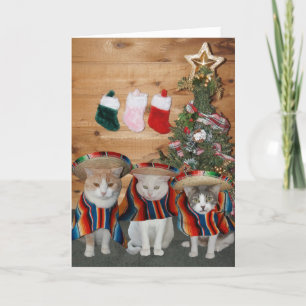 Funny Cats/Kitties Feliz Navidad Holiday Card