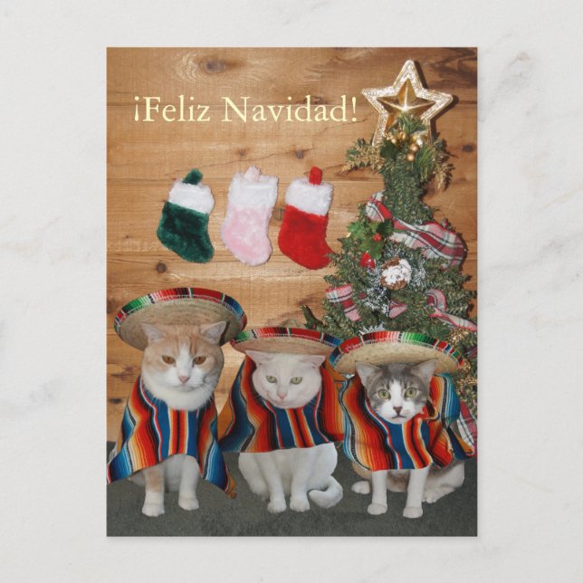 Funny Cats/Kitties Feliz Navidad Holiday Postcard (Front)