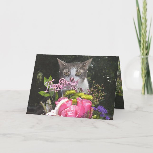 Funny Cats/Kitties Happy Birthday Estranged Couple Card (Front)