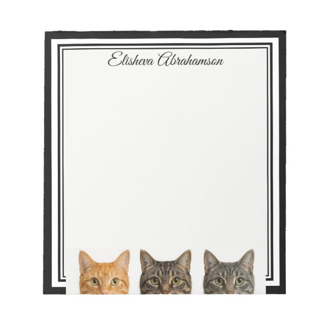 Funny Cats Peeking Note Pad (Front)