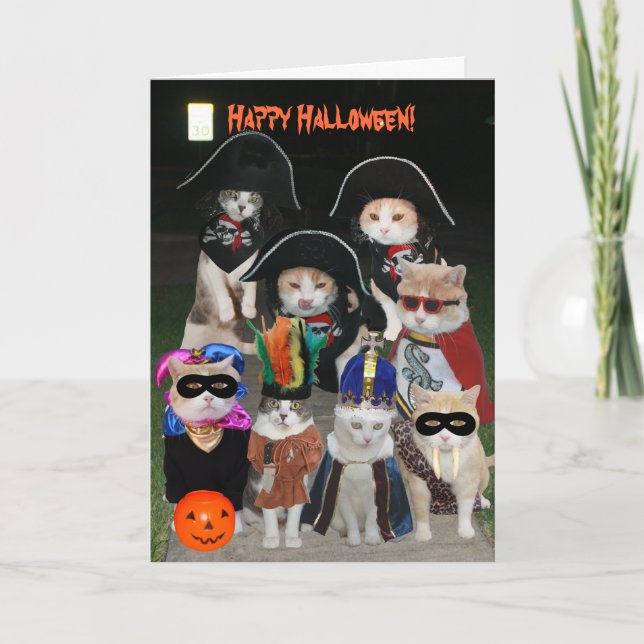 Funny Cats Prowling on Halloween Card (Front)