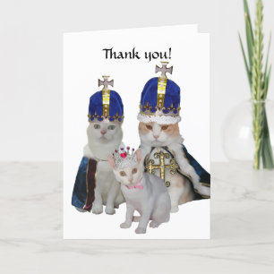 Funny Cats Thank You Card