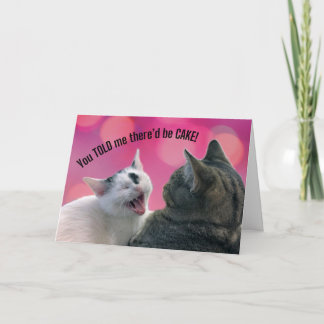 Funny Cats You TOLD me there'd be CAKE Birthday Card