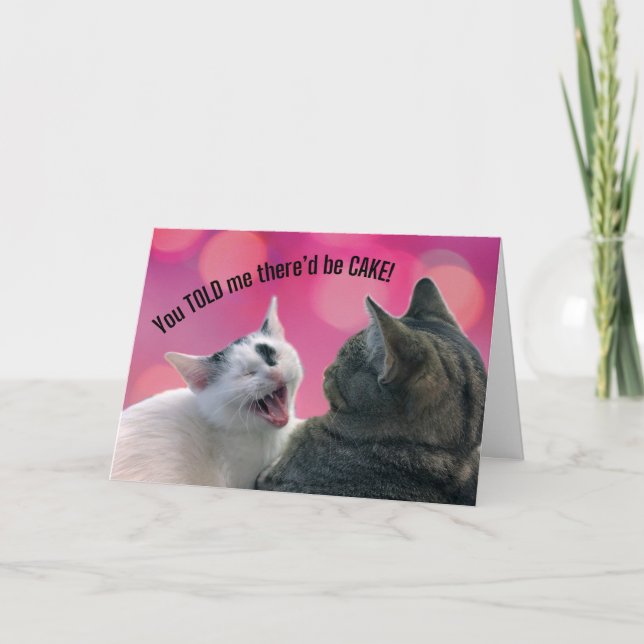 Funny Cats You TOLD me there'd be CAKE Birthday Card (Front)