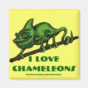 Funny chameleon magnet