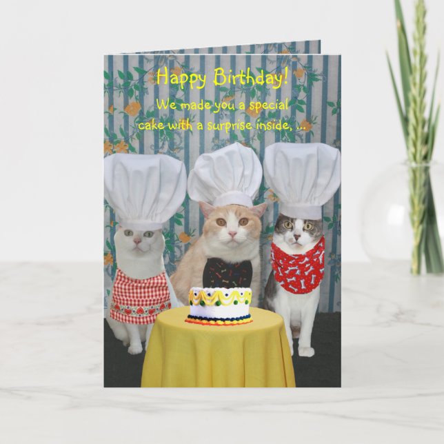 Funny Chef Cats Birthday Card (Front)