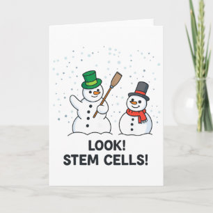 Funny Chemistry Christmas Science Teacher Look Ste Card
