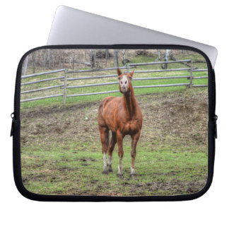 Funny Chestnut Stallion Horse Whinnying Photo Laptop Sleeve