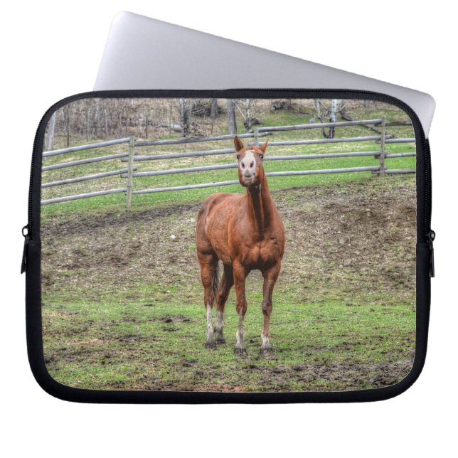 Funny Chestnut Stallion Horse Whinnying Photo Laptop Sleeve (Front)