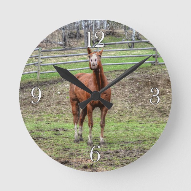 Funny Chestnut Stallion Horse Whinnying Photo Round Clock (Front)