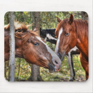 Funny Chestnut Stallion & Mare in a Forest Photo Mouse Mat