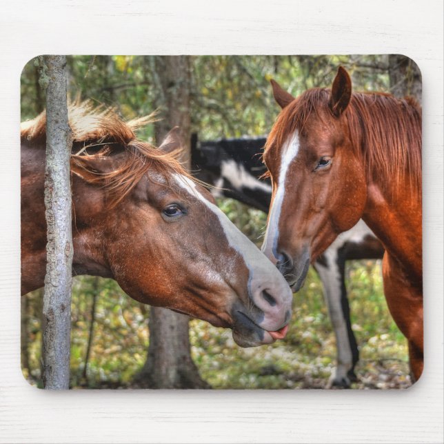 Funny Chestnut Stallion & Mare in a Forest Photo Mouse Mat (Front)