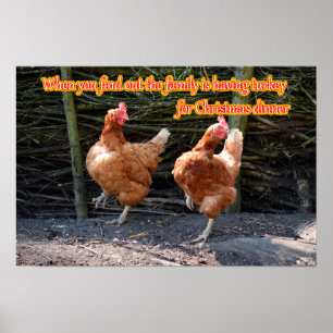Funny Chicken and Rooster Memes with Funny Images Poster