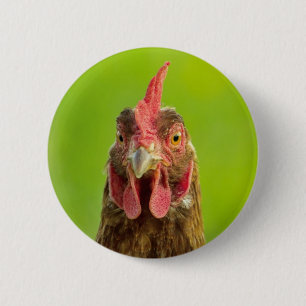 Funny Chicken - Button