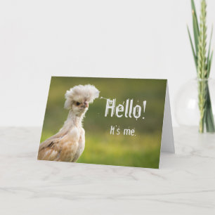 Funny Chicken Card