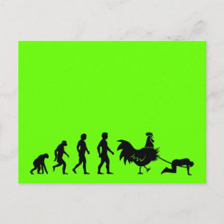 Funny chicken evolution postcard