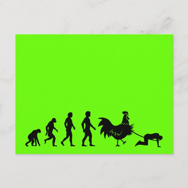 Funny chicken evolution postcard (Front)