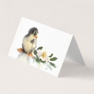 funny chicken · Folded Business Cards